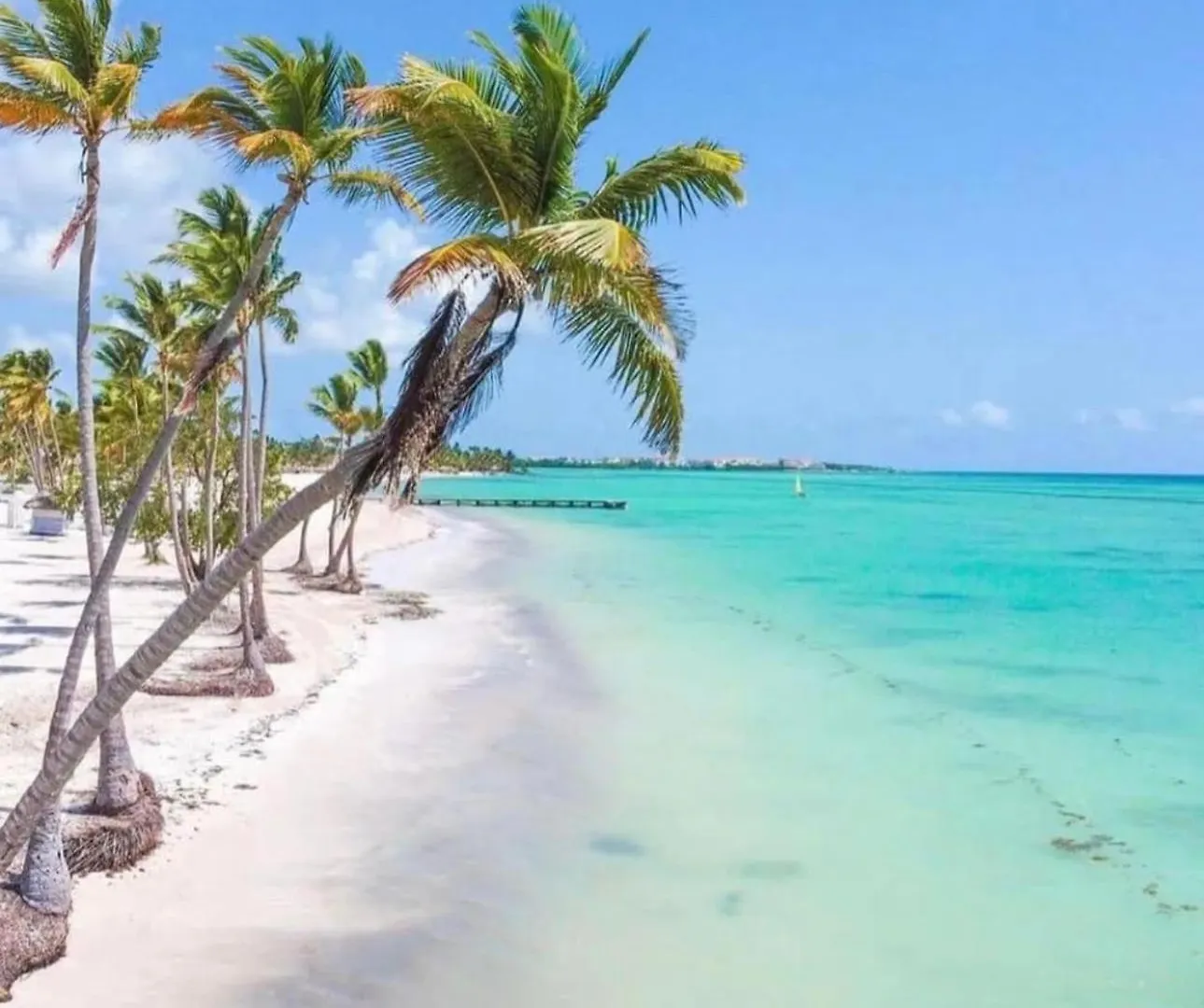 Villa Kimmys Paradise Punta Cana